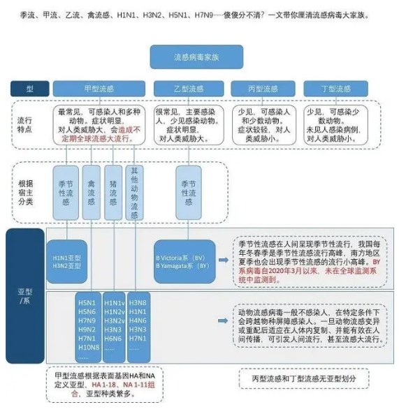 Dingtalk_20241126130556.jpg