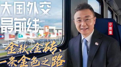 大国外交最前线丨金秋、金砖，一条金色之路