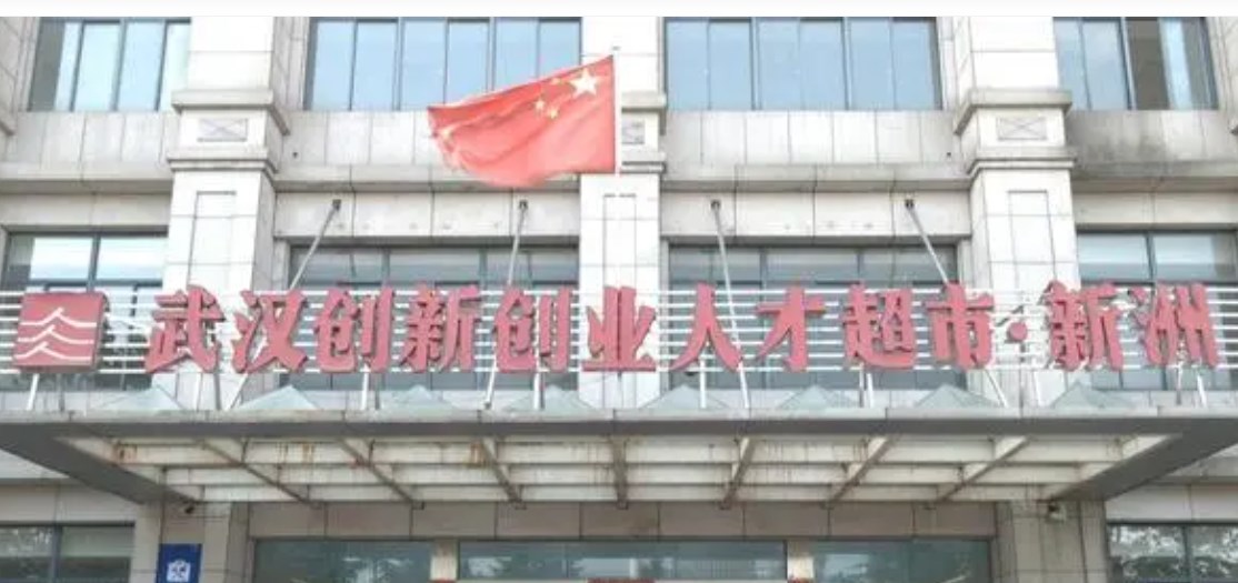 “就”在家门口！武汉市新洲区打好就业组合拳