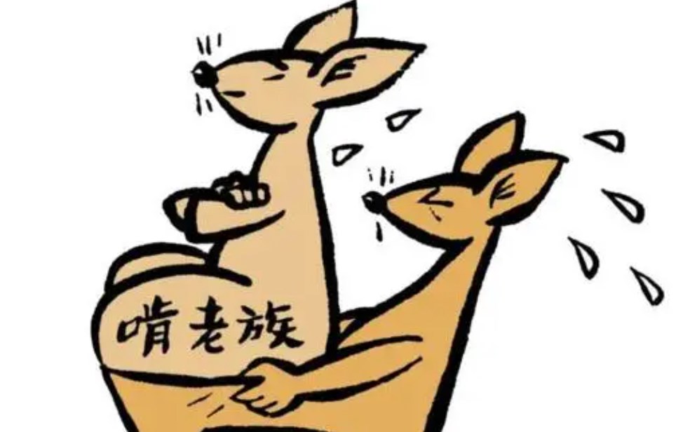  农村啃老现象抬头：富有富啃、穷有穷啃，婚前婚后都啃